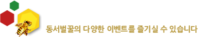 허니 이벤트